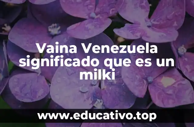 Vaina Venezuela significado que es un milki