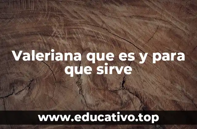 La valeriana como aliada natural del bienestar