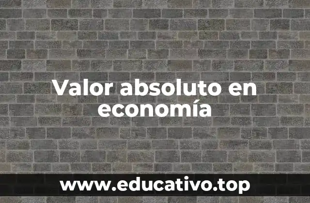 Valor absoluto en economía