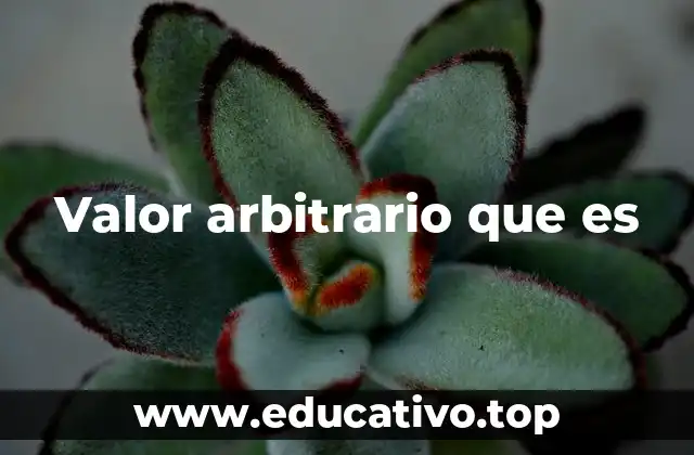 Valor arbitrario que es