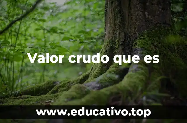 Valor crudo que es