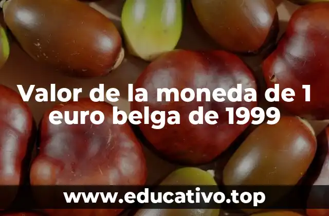 Valor de la moneda de 1 euro belga de 1999