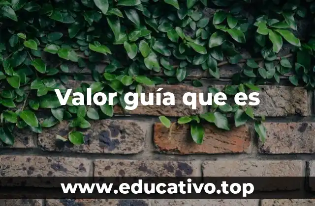 Cómo se utiliza el valor guía en el mercado inmobiliario