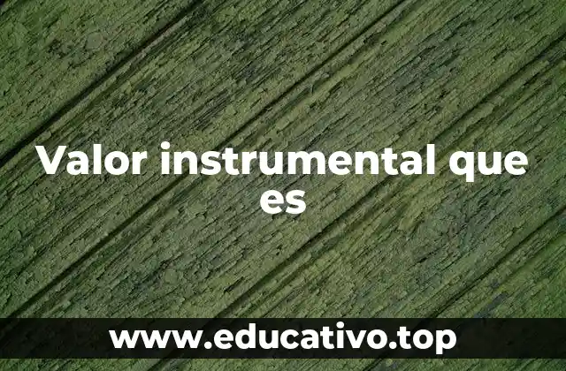 Valor instrumental que es