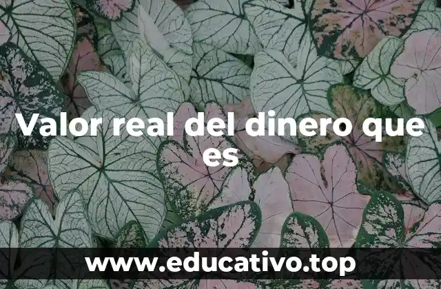 Valor real del dinero que es