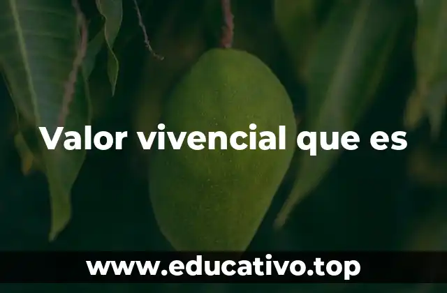 Valor vivencial que es