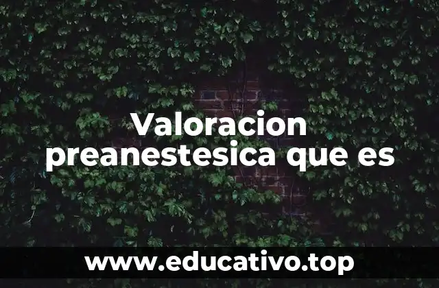 Valoracion preanestesica que es