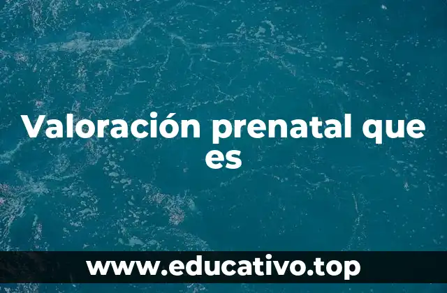 Valoración prenatal que es