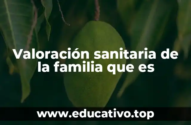 Valoración sanitaria de la familia que es