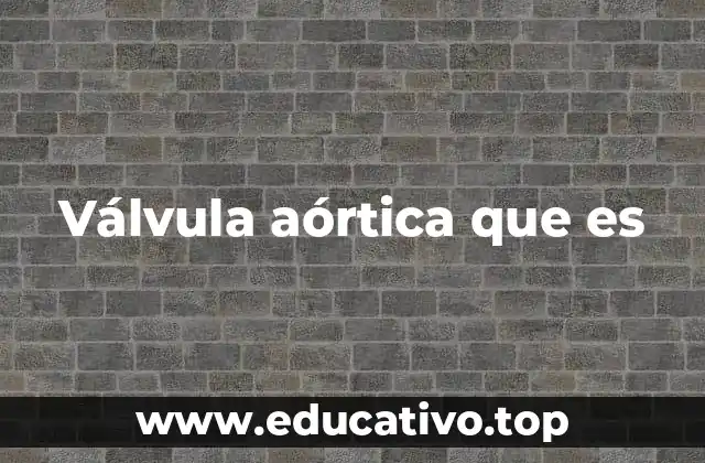 Válvula aórtica que es