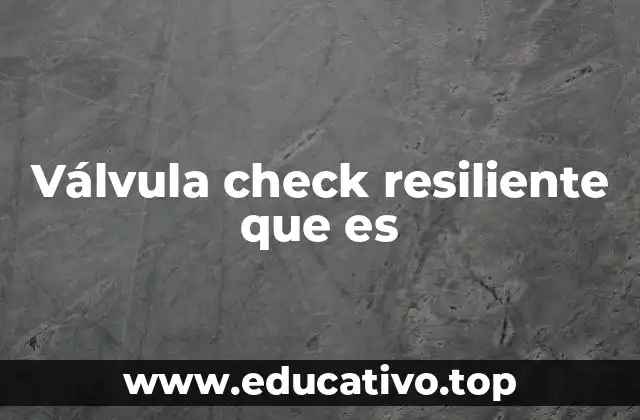 Funcionamiento y características principales