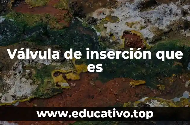 Válvula de inserción que es