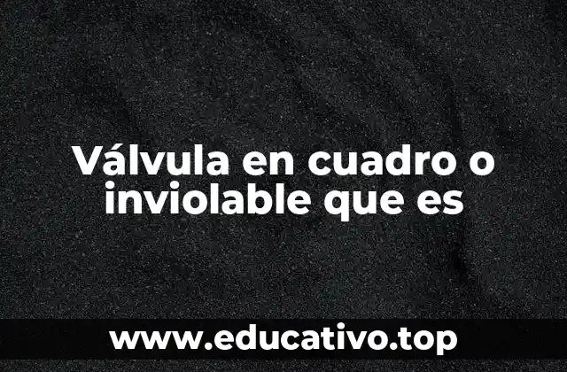 Válvula en cuadro o inviolable que es