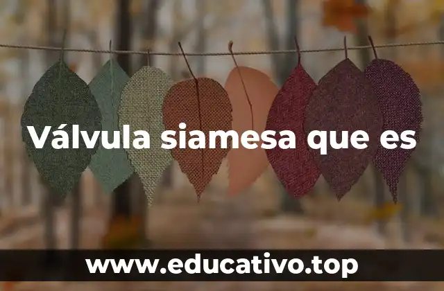 Válvula siamesa que es