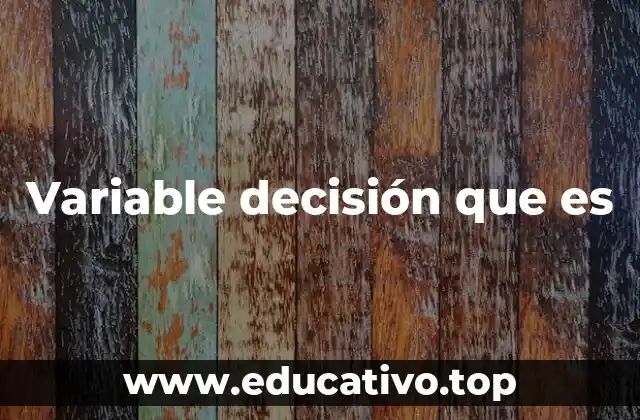 Variable decisión que es