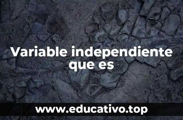 El papel de las variables en la investigación científica