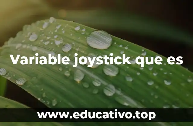 Variable joystick que es