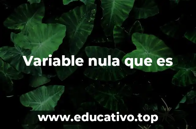 Variable nula que es