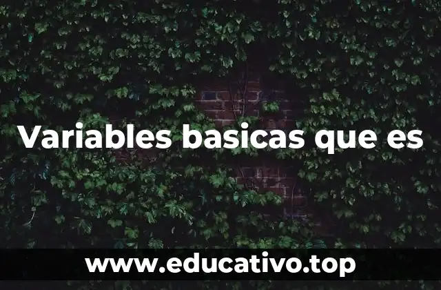 Variables basicas que es