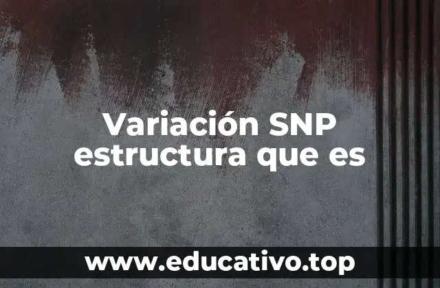 Variación SNP estructura que es