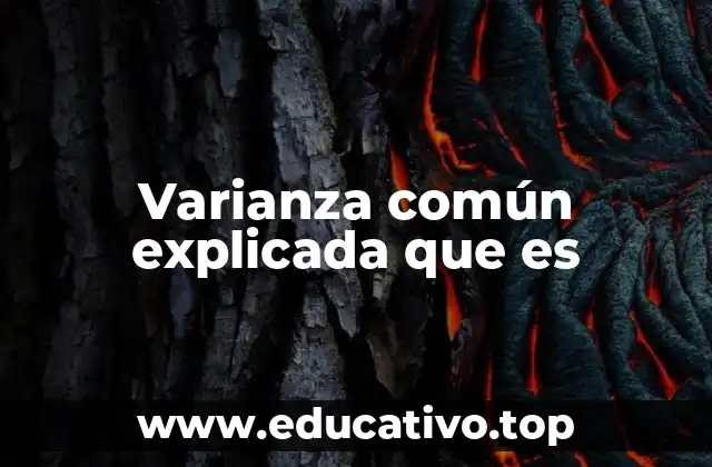 Varianza común explicada que es