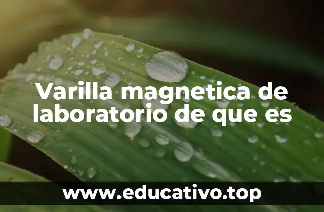 Varilla magnetica de laboratorio de que es
