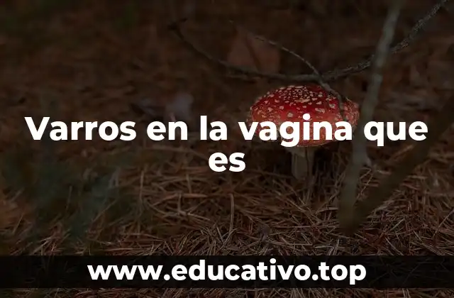 Varros en la vagina que es