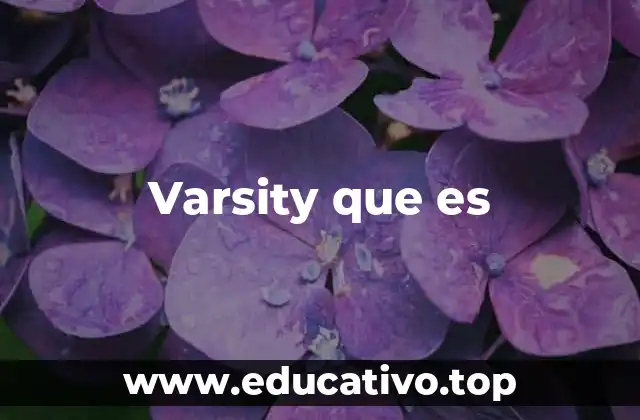 Varsity que es