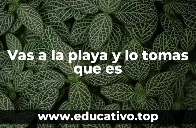 Vas a la playa y lo tomas que es