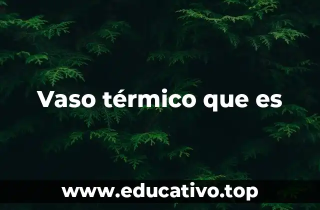 Vaso térmico que es