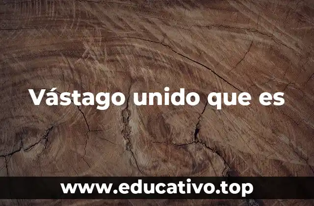 El papel del vástago en sistemas mecánicos