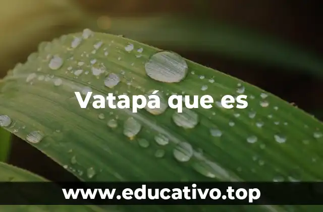 Vatapá que es
