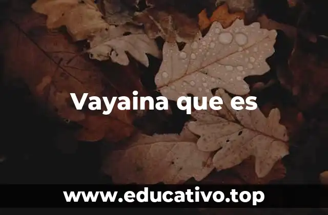 Vayaina que es