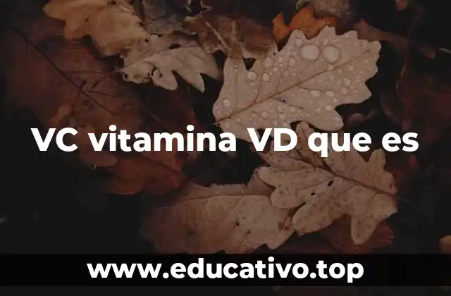VC vitamina VD que es