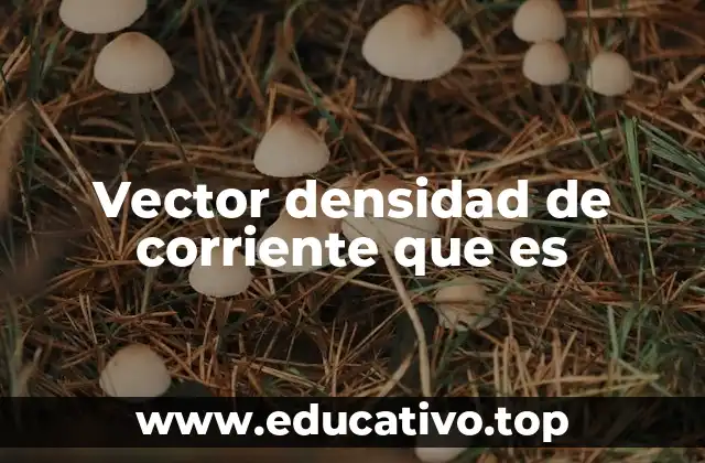 Vector densidad de corriente que es
