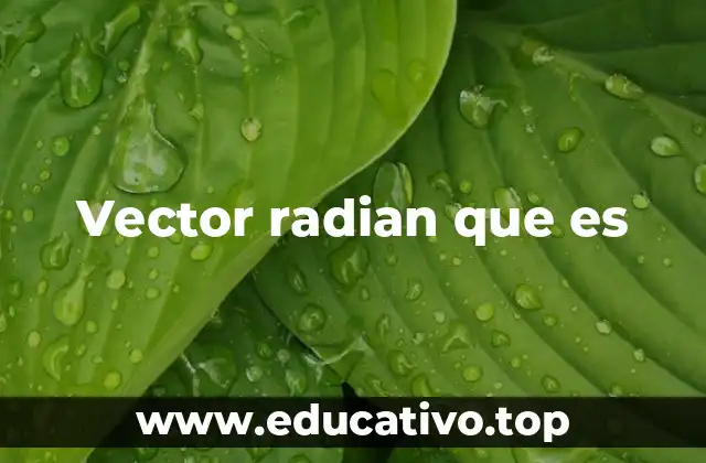 El vector radial en sistemas de coordenadas no cartesianas