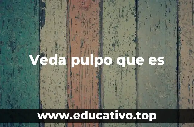 La importancia de proteger al pulpo marino