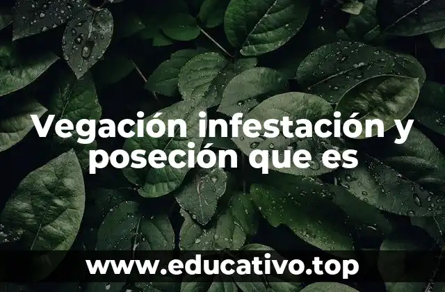 Vegación infestación y poseción que es