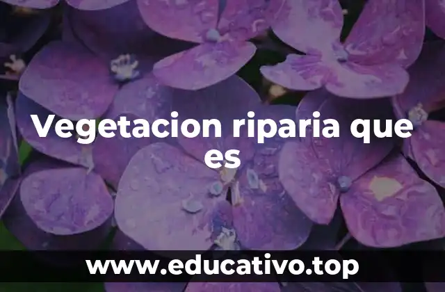 La importancia de las zonas ribereñas para el medio ambiente
