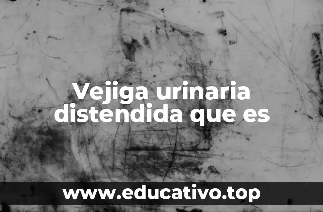 Vejiga urinaria distendida que es