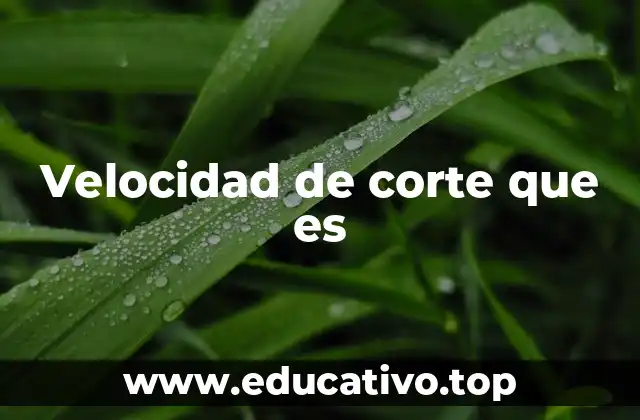 Velocidad de corte que es