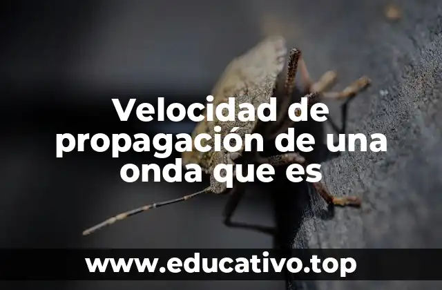 Factores que influyen en la velocidad de propagación de una onda