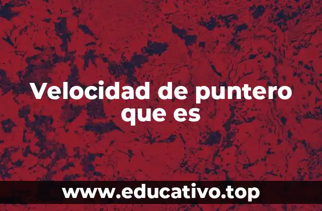 Velocidad de puntero que es