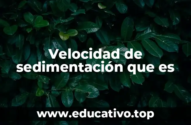Velocidad de sedimentación que es