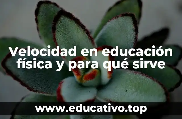 Velocidad en educación física y para qué sirve