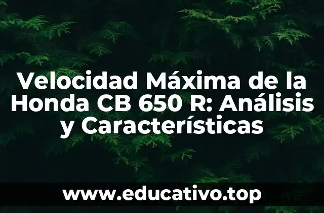 Velocidad Máxima de la Honda CB 650 R: Análisis y Características