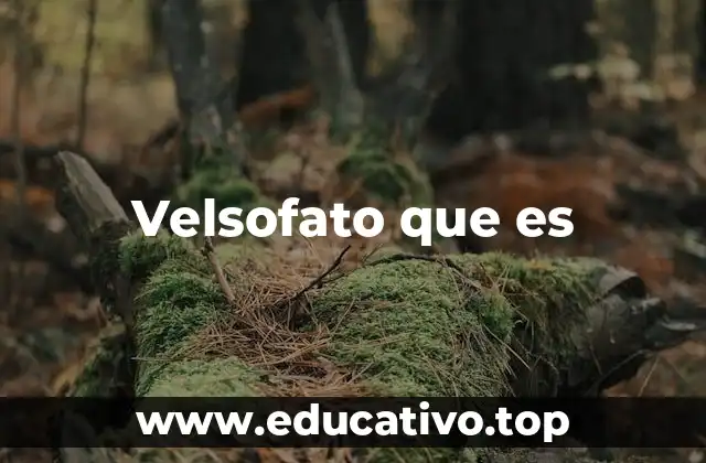 Velsofato que es