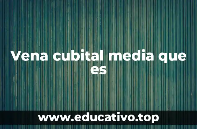 Vena cubital media que es
