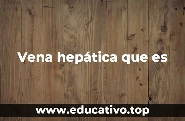 Vena hepática que es