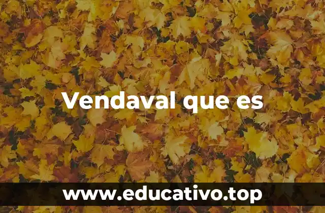 Vendaval que es